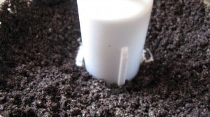 IMG_2497 IMG_2497