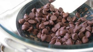 IMG_2520 IMG_2520