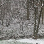 IMG_2605