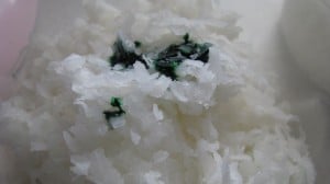 IMG_2776 IMG_2776