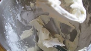 IMG_2818 IMG_2818