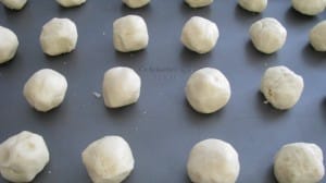 IMG_2895 IMG_2895