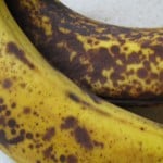 IMG_2971 IMG_2971