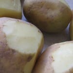 IMG_2985 IMG_2985