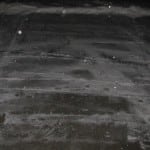 IMG_3109 IMG_3109