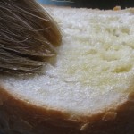 IMG_3248 IMG_3248