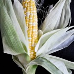 gcorn1-2