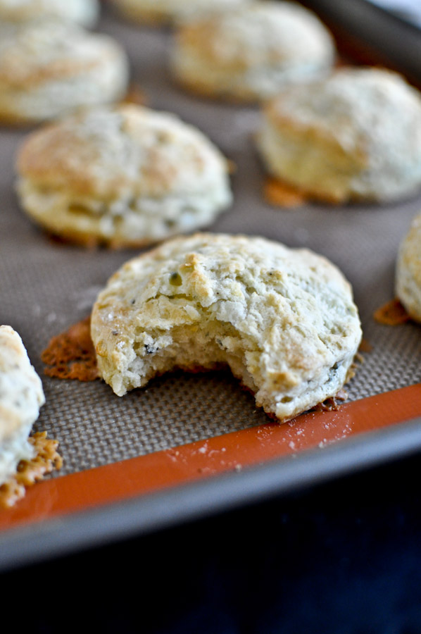 Blue Cheese Biscuits with Pinot Noir Butter I howsweeteats.com