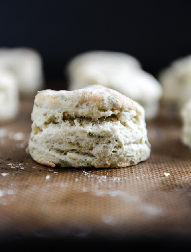 sage butter biscuits I howsweeteats.com