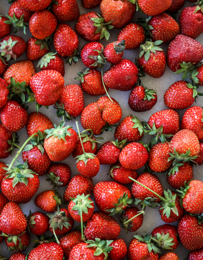 fresh strawberry cobbler I howsweeteats.com 