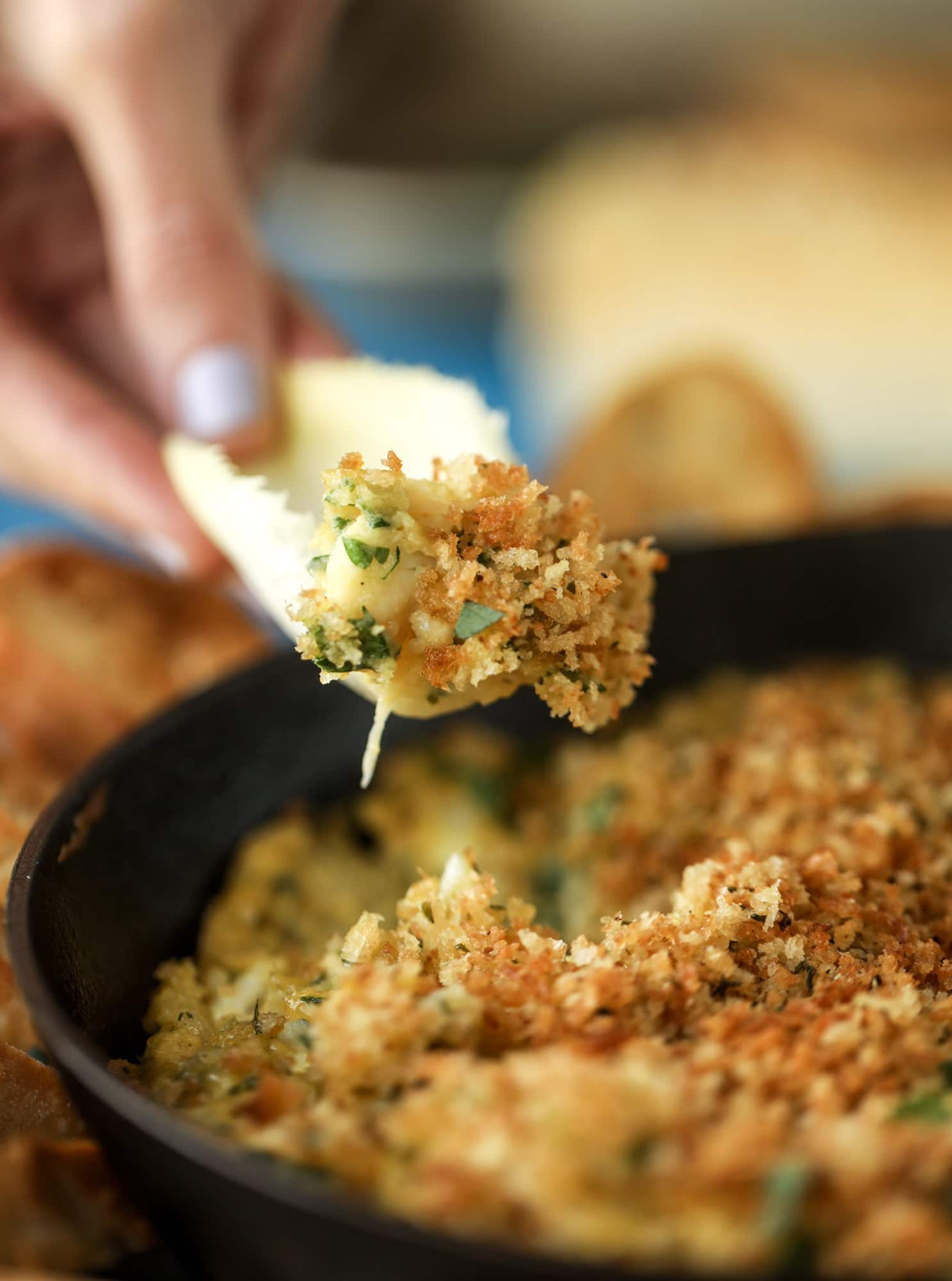 This deviled crab dip is the perfect hot summer appetizer. Lump crab, a creamy, decadent sauce, crunchy breadcrumbs and fresh endive for dipping. YES.