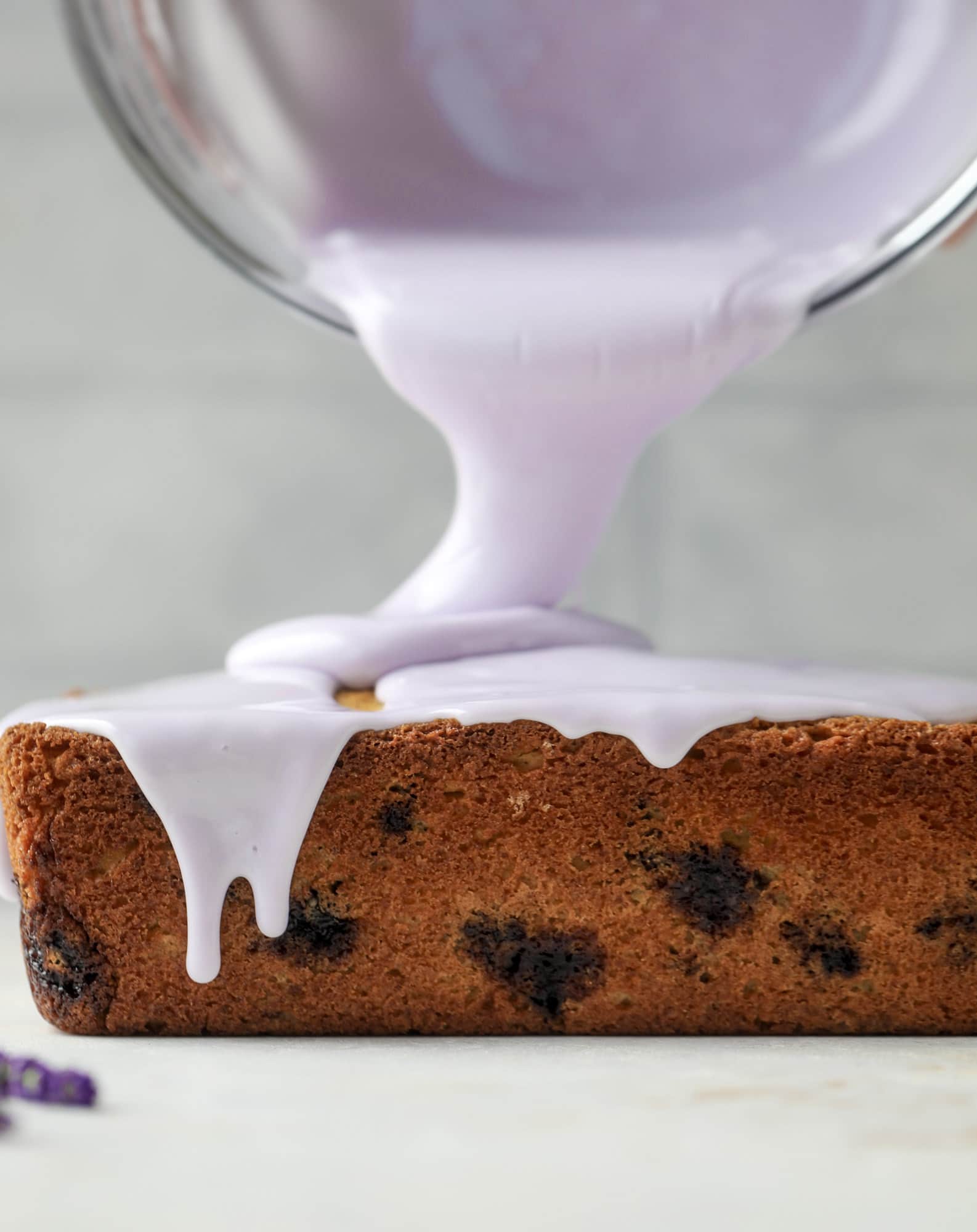 This lovely blueberry ricotta cake is covered in a lavender glaze and the perfect recipe for blueberry season! It's rich and light and super flavorful.