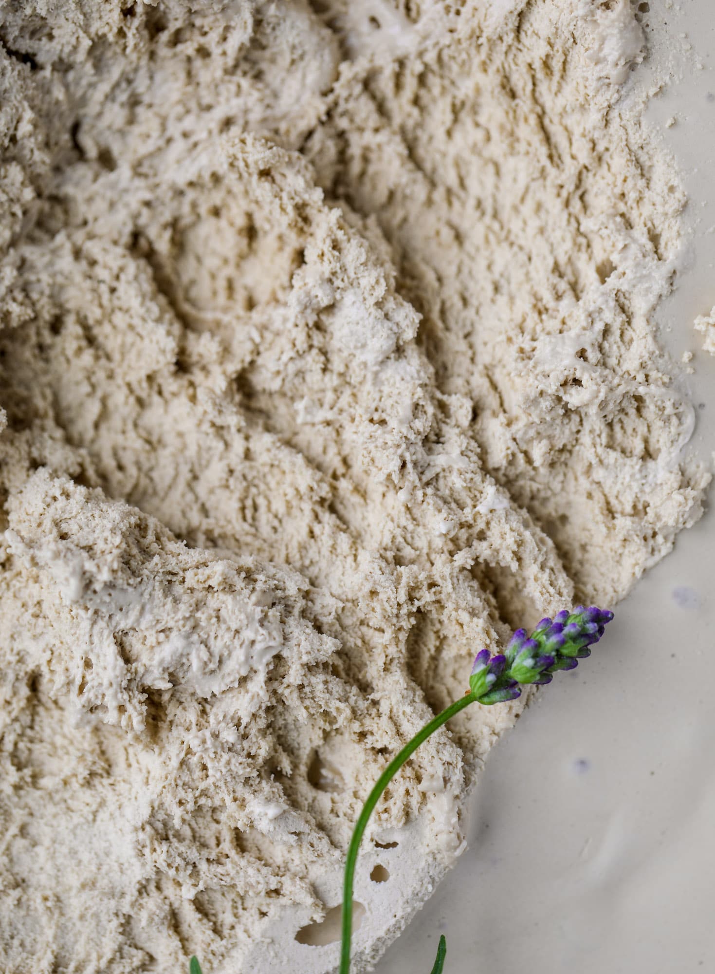 This lavender coffee ice cream is my favorite morning drink in dessert form! Fresh lavender, vanilla and a whole bunch of spices make this incredible.