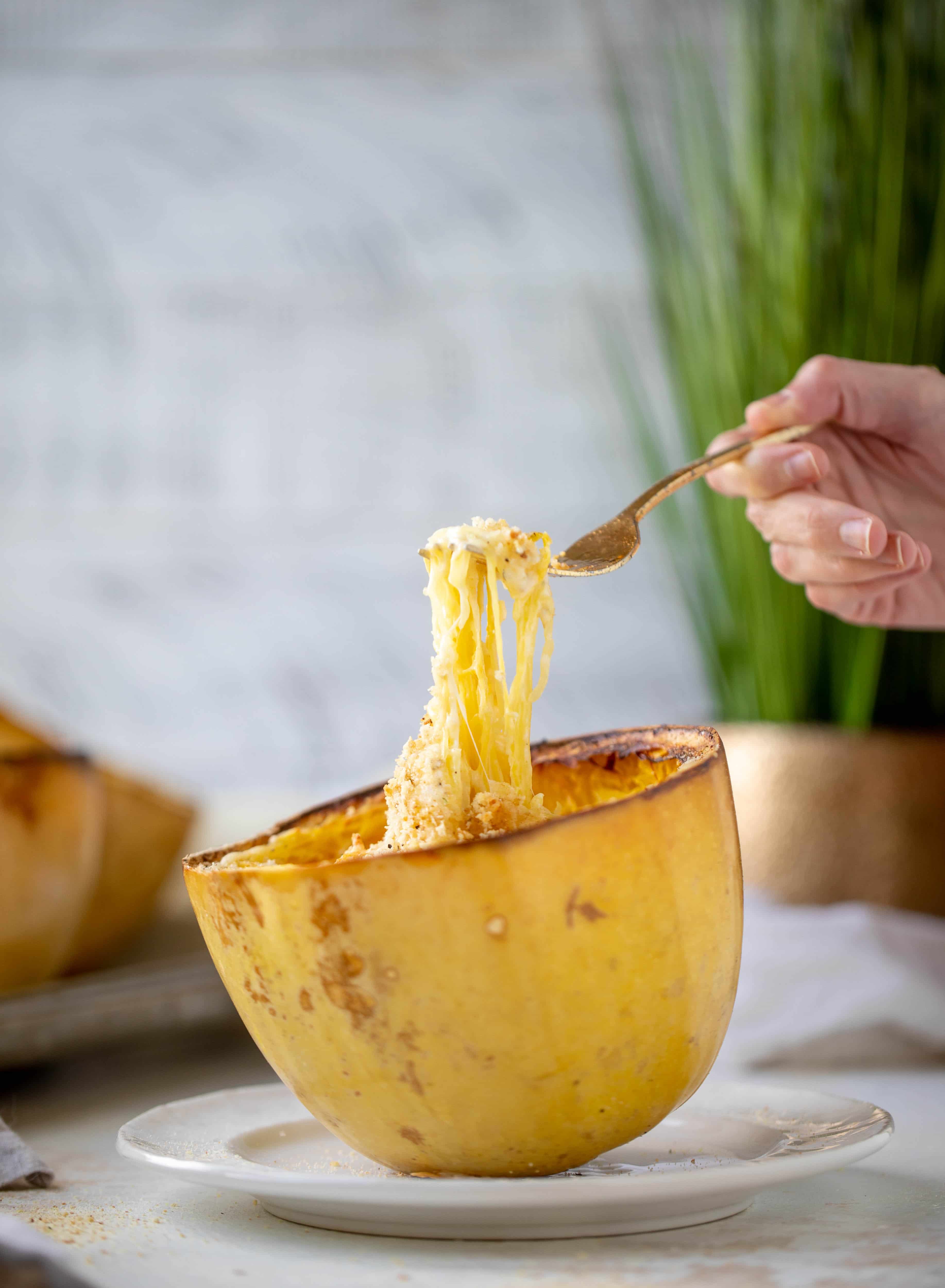 Three cheese spaghetti squash in a squash bowl! Squash tossed with fontina, gruyere and parmesan to make a creamy comforting meal.