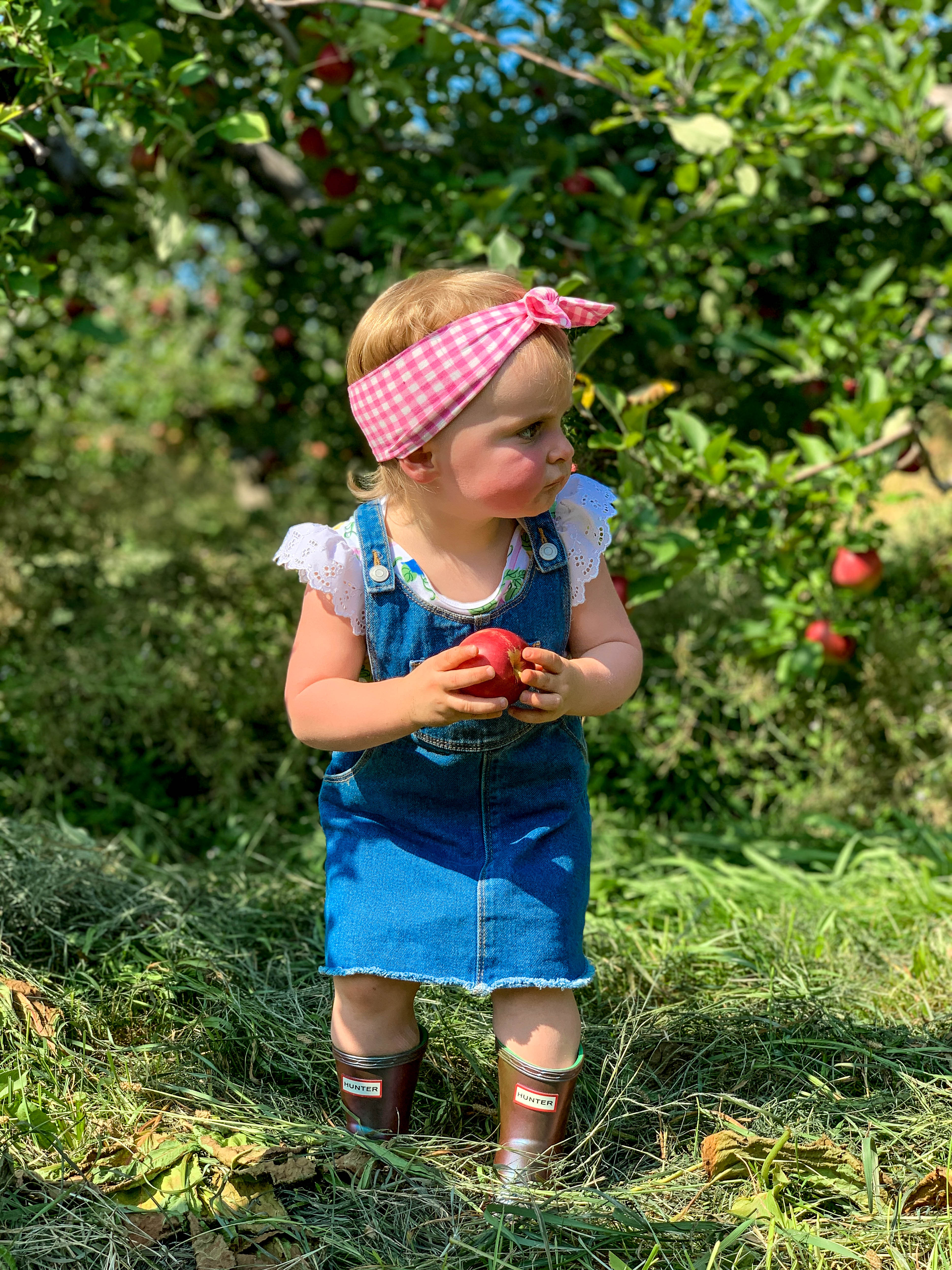 2019 apple picking photo diary I howsweeteats