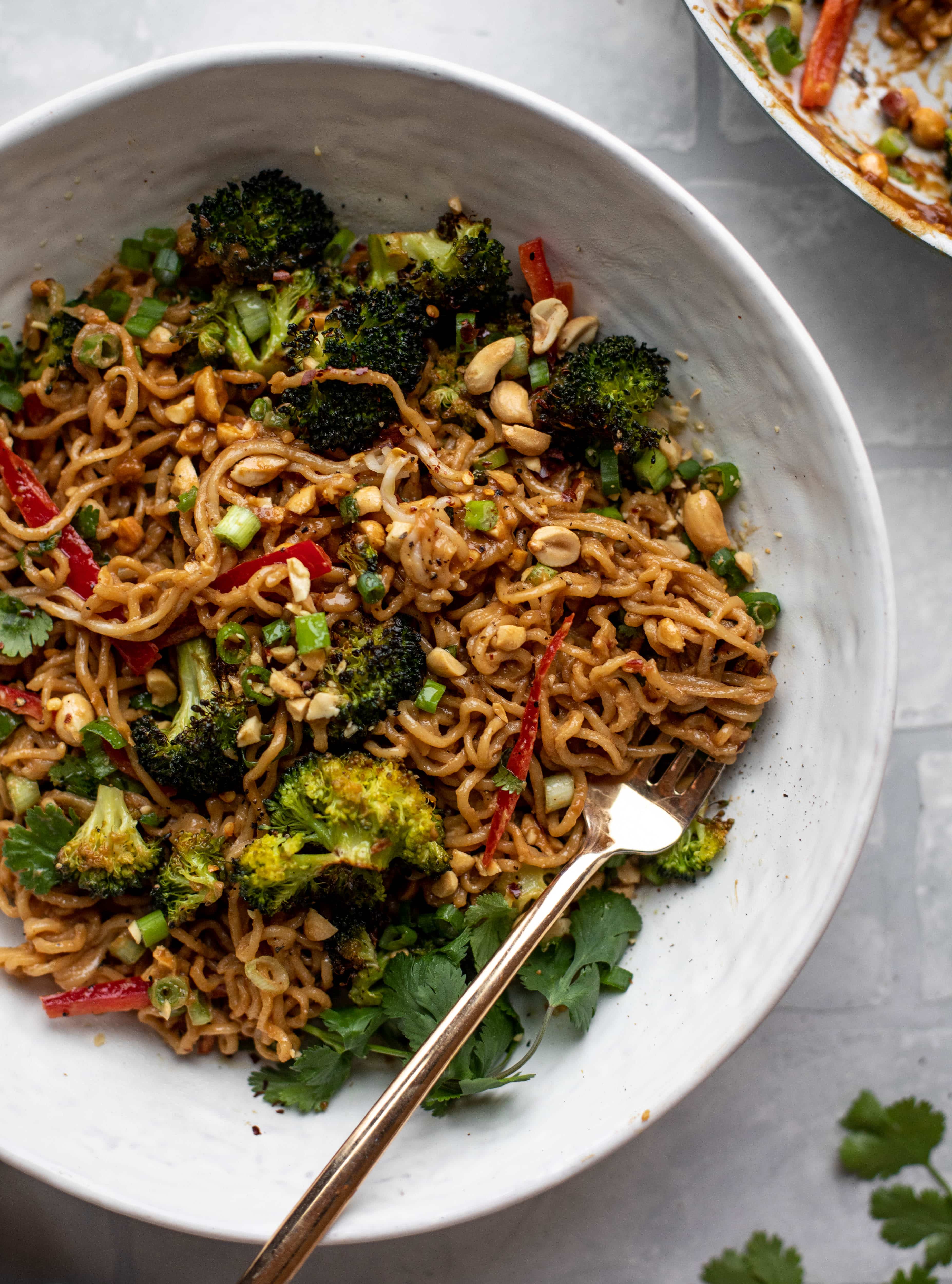 These are the most delicious peanut noodles! Tossed with roasted broccoli, red peppers, scallions, peanuts and an incredibly flavorful sauce!