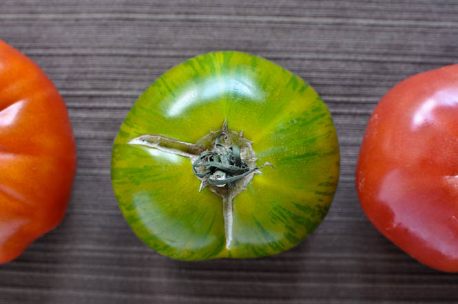 broiled asiago heirloom tomatoes.