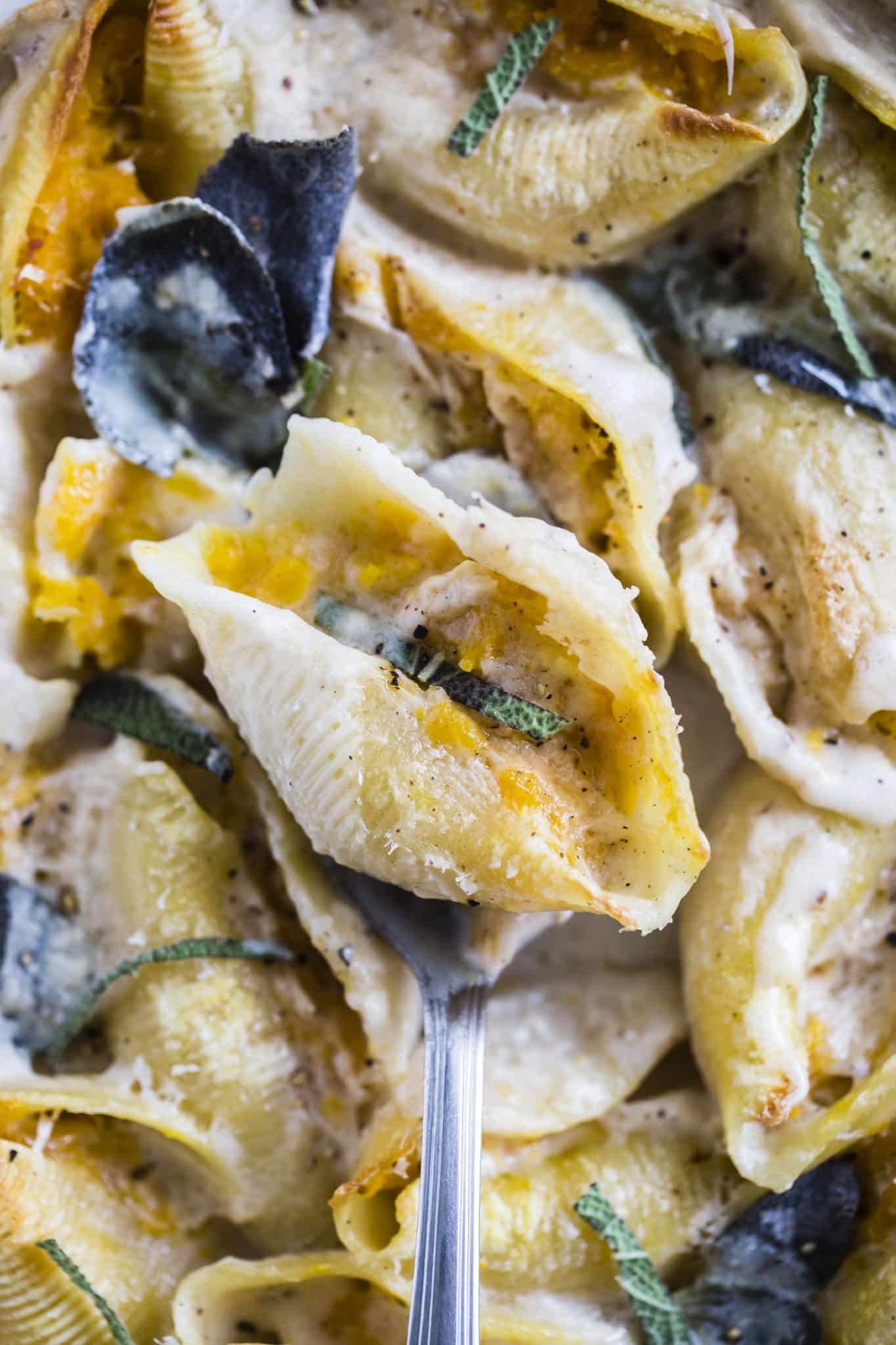 Butternut Squash Stuffed Shells