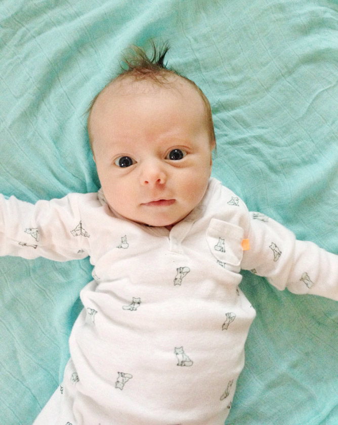 life with max: six weeks in. - How Sweet Eats