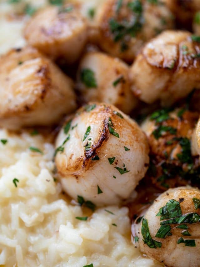 Scallop Risotto - Champagne Risotto with Brown Butter Scallops