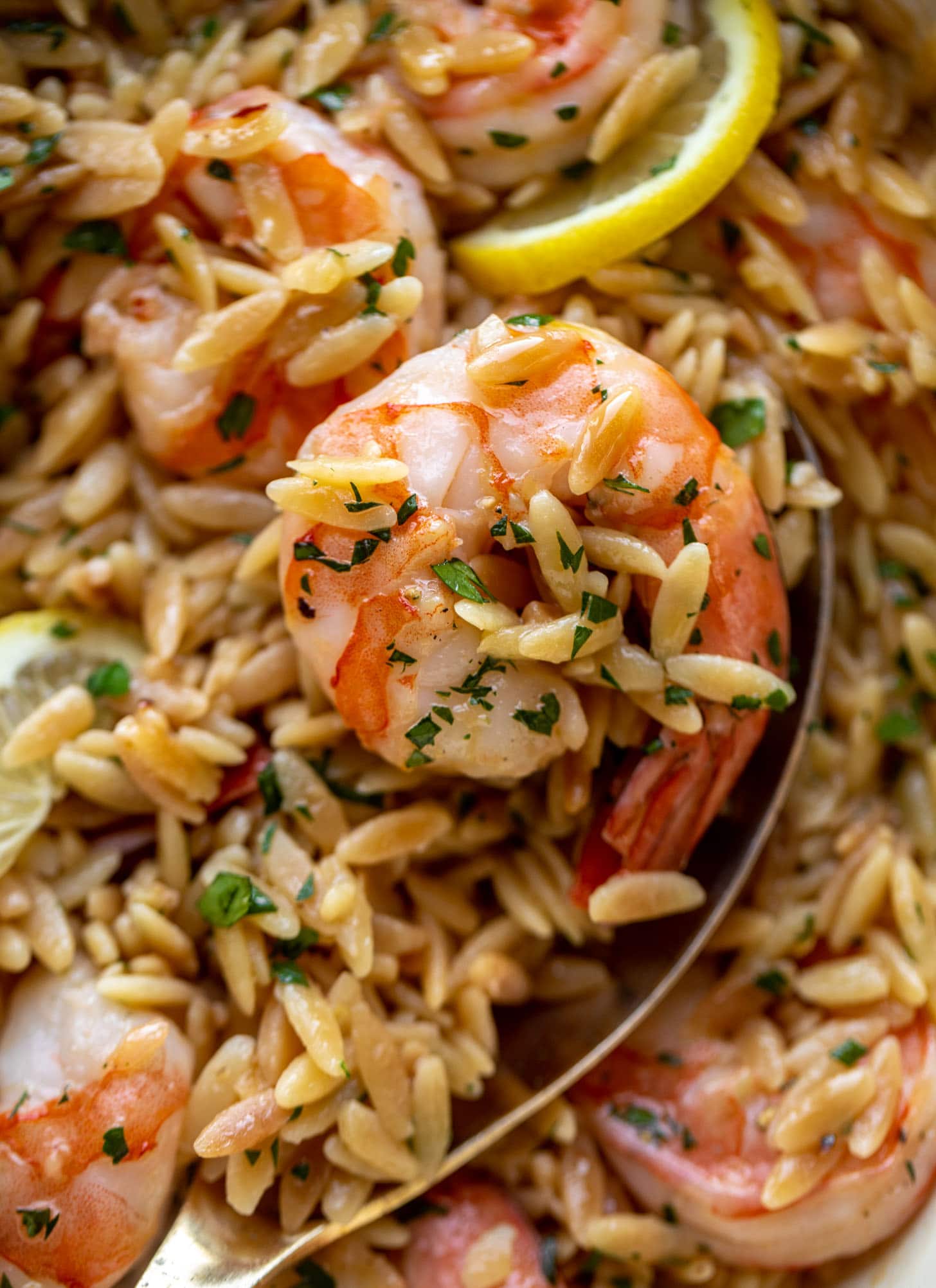 one pot garlic butter shrimp and orzo