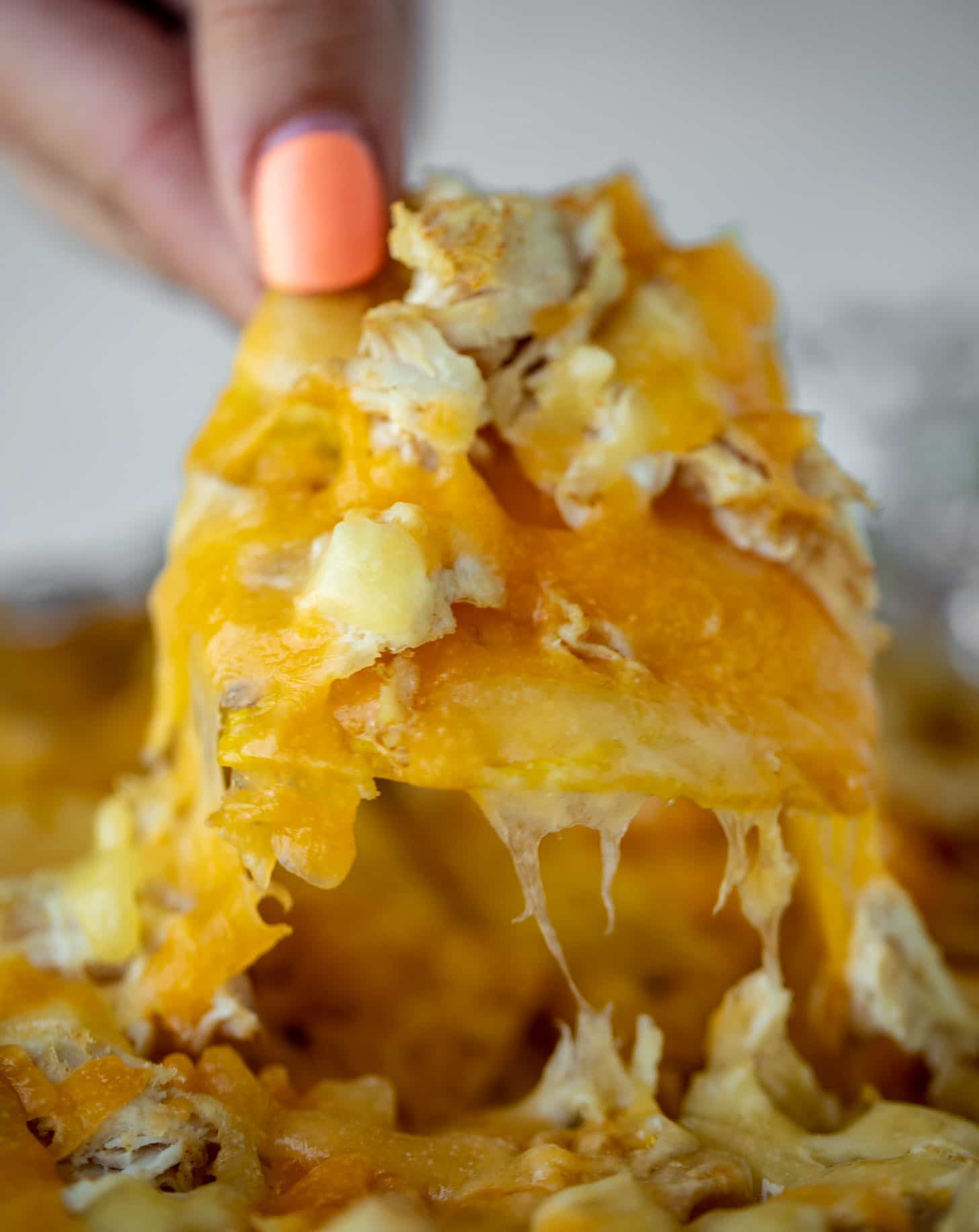 melty cheddar chip nacho