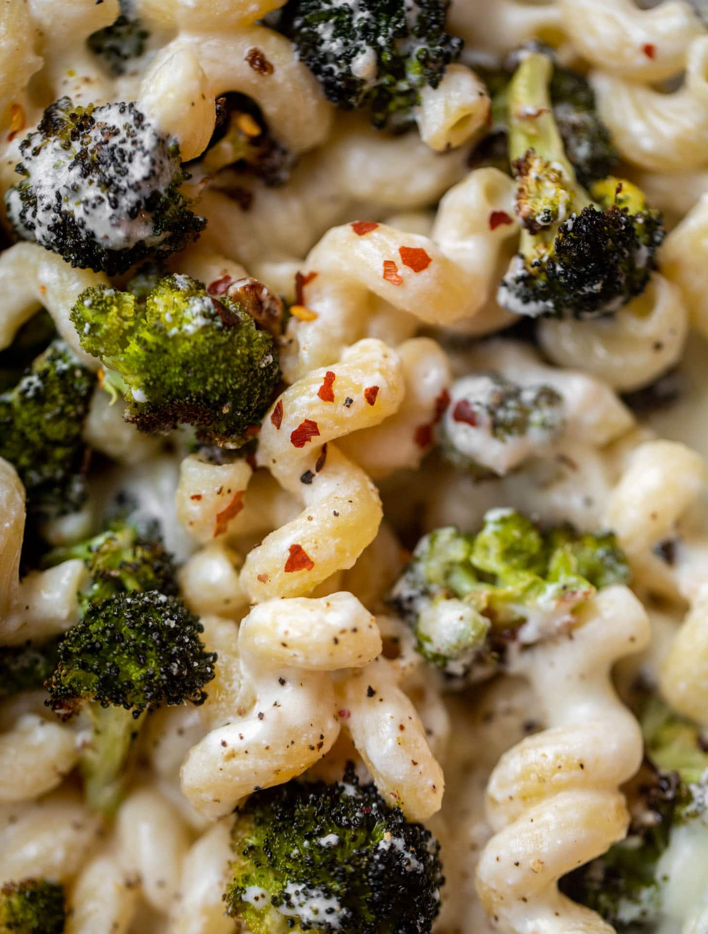 skillet ricotta pasta with roasted broccoli up close