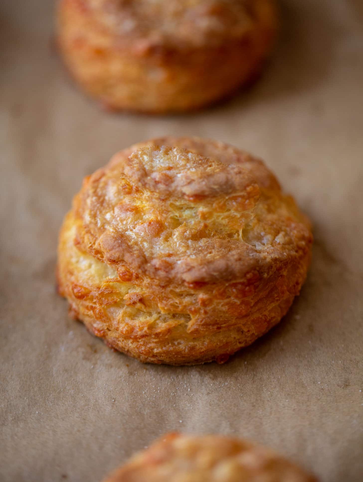 smoked cheddar sour cream biscuits