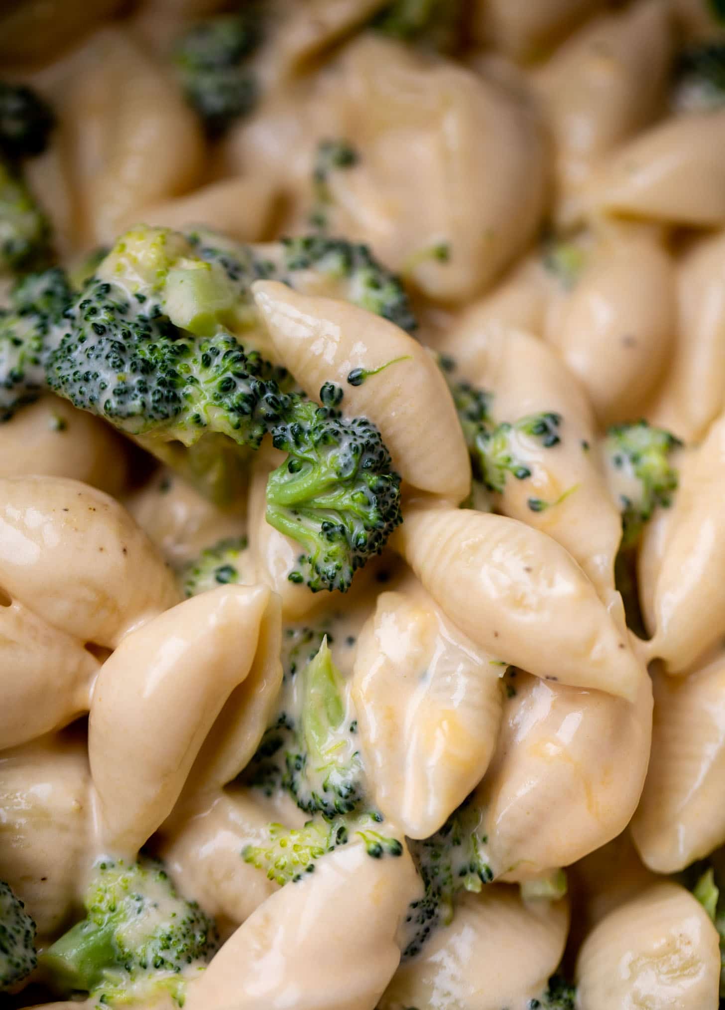 up close broccoli shells and cheese