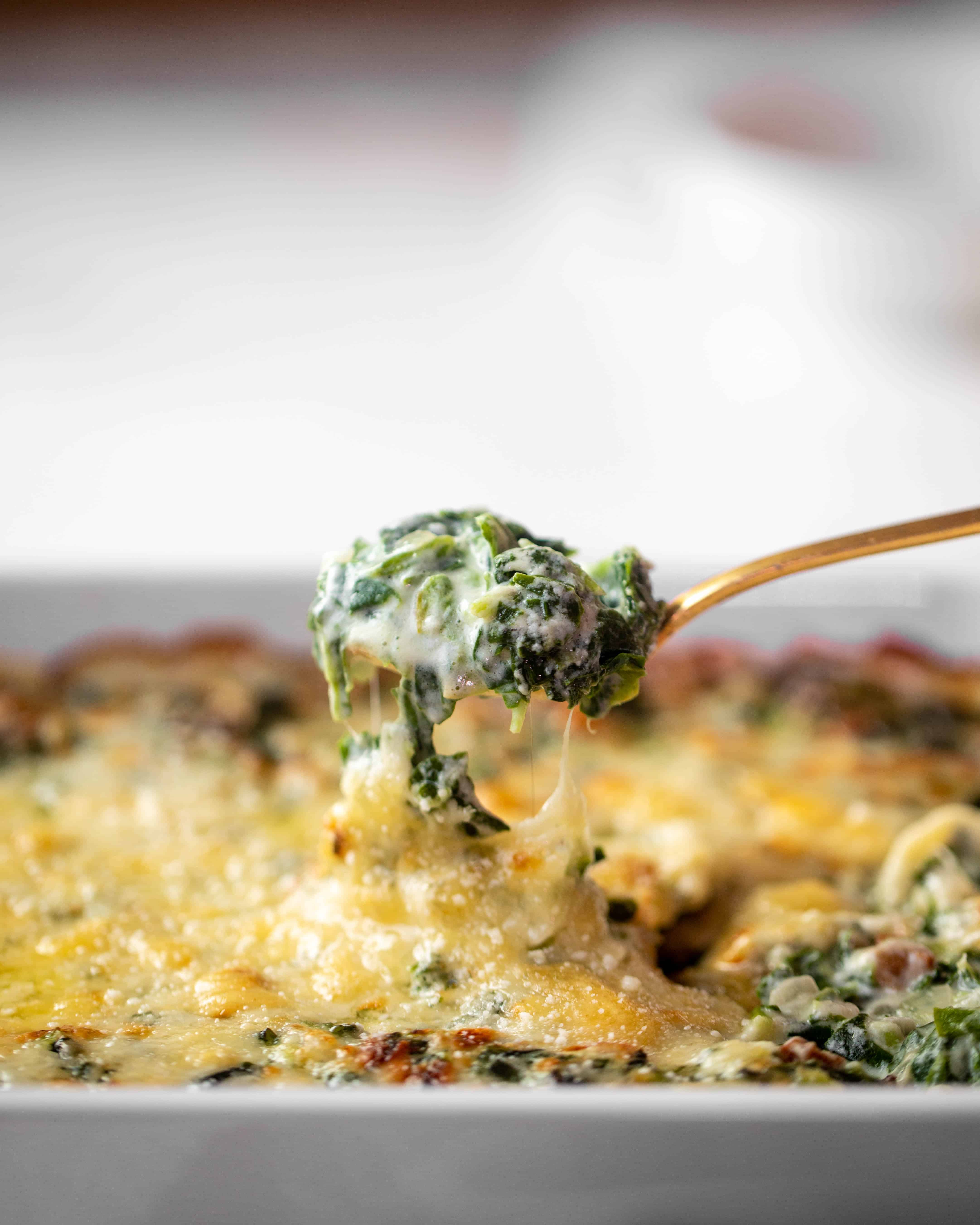 spinach gratin recipe