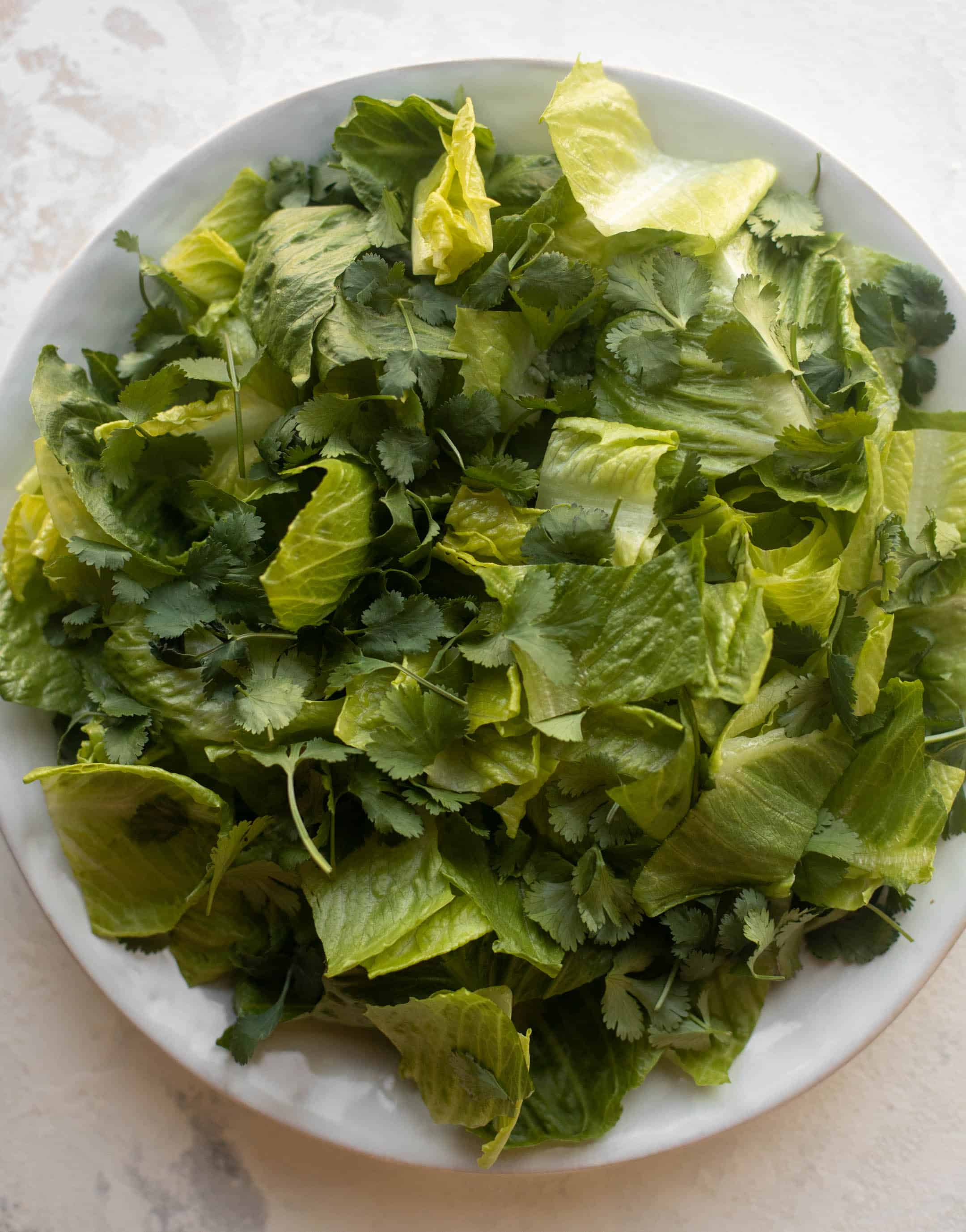 shredded lettuce and cilantro
