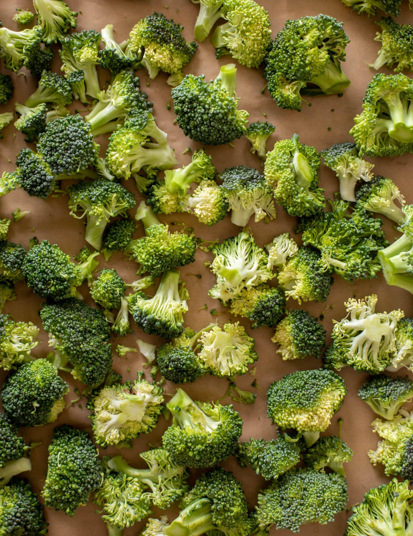 roasted broccoli with cheddar breadcrumbs